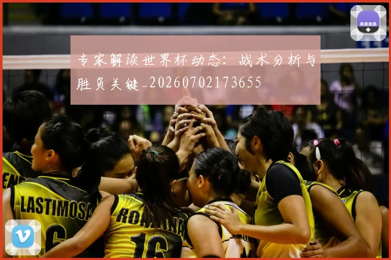 专家解读世界杯动态：战术分析与胜负关键_20260702173655