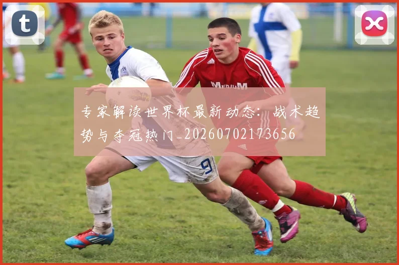 专家解读世界杯最新动态:战术趋势与夺冠热门_20260702173656